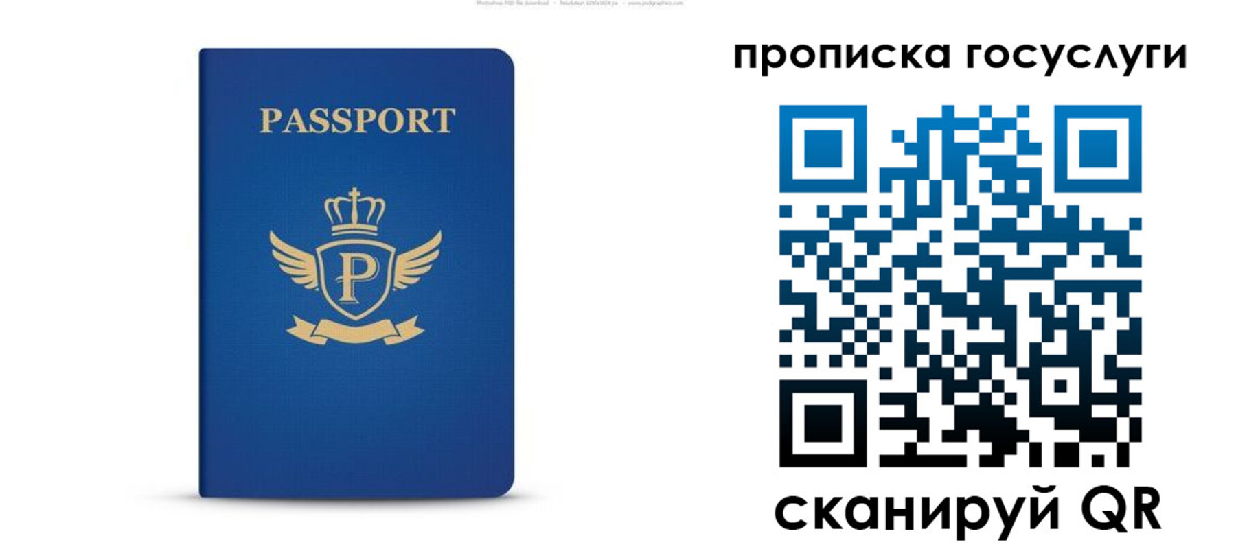 прописка для школы в Электростали